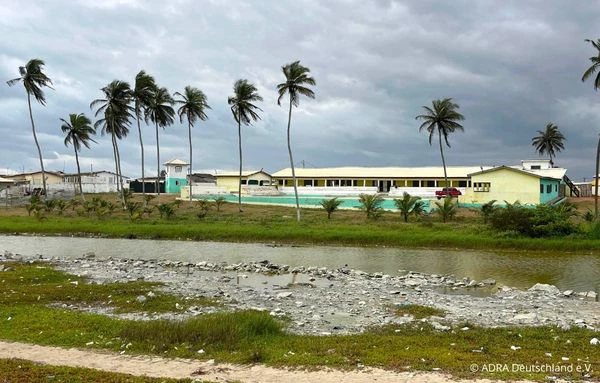 Schulgelände in Old Ningo nahe dem Meer mit langen Gebäuden und Palmen unter bewölktem Himmel, aufgenommen von einem sandigen Küstenstreifen.
