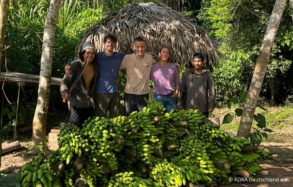 ADRAlive!-Freiwillige und lokale Mitarbeitende präsentieren die Bananenernte aus einem vielfältigen Agroforstsystem im peruanischen Amazonas