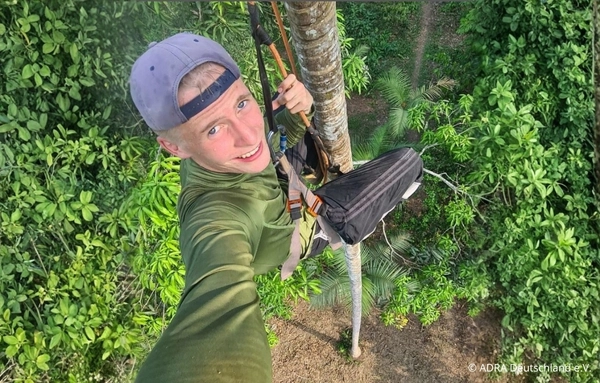 Ein weltwärts-Freiwilliger klettert mit Seil- und Kletterausrüstung auf einen Baum im peruanischen Amazonas