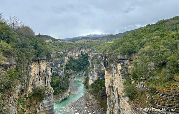 türkisfarbener Fluss Vjosa fließt durch eine beeindruckende Felsenschlucht, umgeben von bewaldeten Hängen und Bergen