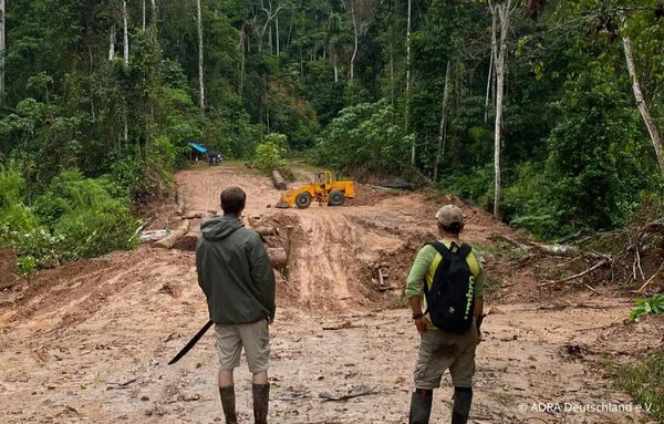 Zwei Personen blicken auf eine gerodete Fläche mit schwerem Gerät inmitten des Regenwaldes