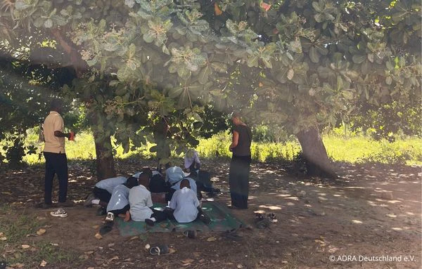 Gruppe von Schülerinnen und Schülern lernt gemeinsam mit zwei Erwachsenen im Schatten eines großen Baumes in Bagamoyo