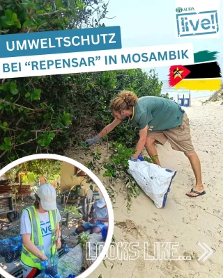 Fynn und Ellen engagieren sich ein Jahr lang als @weltwaerts - Freiwillige in Mosambik bei der Umweltschutzorganisation Cooperativa de Educaçao Repensar und packen hier tatkräftig mit an 🌱🌊💪Neben Müllsammelaktionen, Beach Clean Up`s und Aufforstungsprojekten, beteiligen sich die beiden bei Repensar auch an Aufklärungs- und Bildungsangboten an Schulen.

Hier erfahrt ihr mehr über die tolle Arbeit von ➡️ @cooperativa_repensar 

#Freiwilligendienst #umweltschutz #weltwärts #beachcleanup #aufforstung
